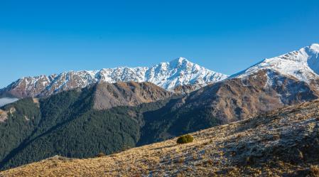 Ben Lomond 1