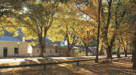 CroppedImage690300 Arrowtown streetSMALL