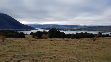 Pen Bay REserve