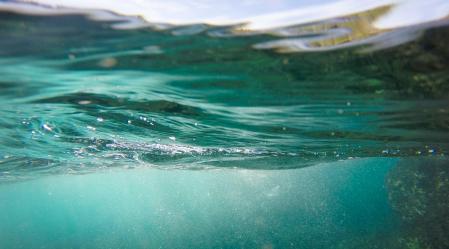 Water