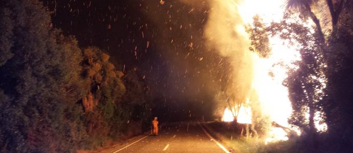 20170111 014548 with firefighter