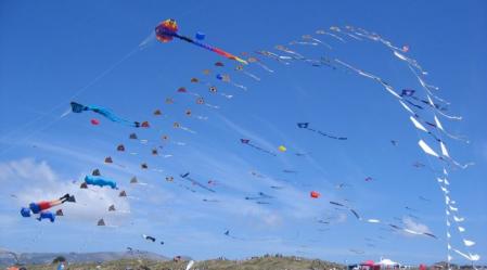 1_Peter_Lynn_Kites_on_Display.JPG