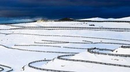 1_snowfarm.jpg