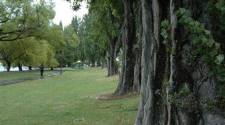 2_St_Omer_Park_19jan14.jpg