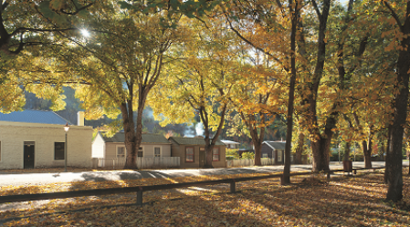 Arrowtown_streetSMALL.png