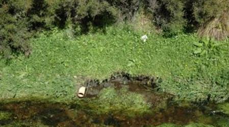 Horne_Creek_for_web.jpg