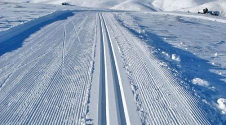 snowfarm.jpg