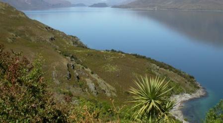 wanaka_scenic.JPG