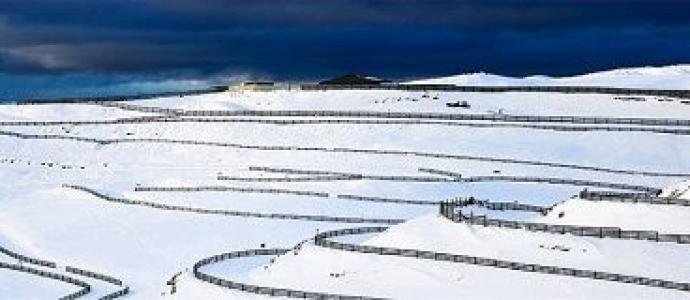 1_snowfarm.jpg