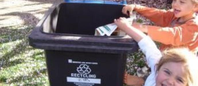 Recycling_bins_resized_300.jpg