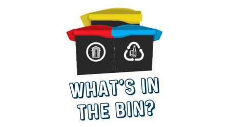 INTHEBIN QLDC 1