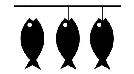 fish curing