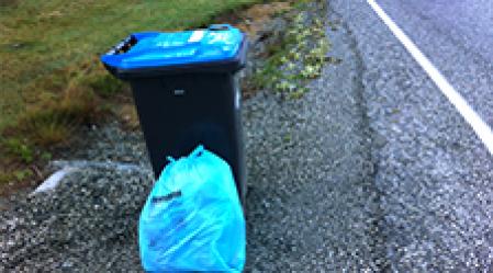 rubbishdays
