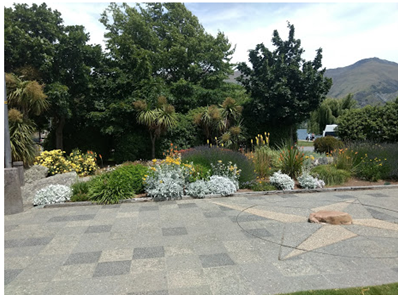 dry garden image2